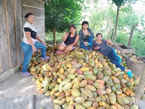 Four women sitting on a large pile of harvested cacao pods